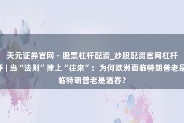天元证券官网 - 股票杠杆配资_炒股配资官网杠杆 深海评 | 当“法则”撞上“往来”：为何欧洲面临特朗普老是温吞？