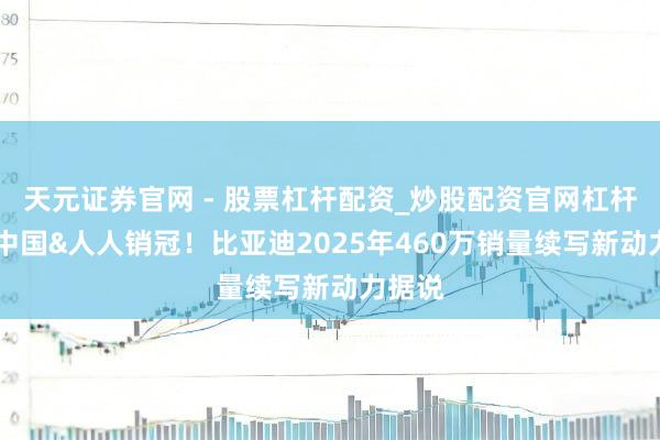 天元证券官网 - 股票杠杆配资_炒股配资官网杠杆 包揽中国&人人销冠！比亚迪2025年460万销量续写新动力据说